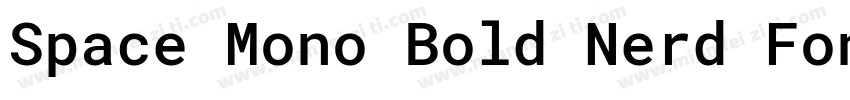 Space Mono Bold Nerd Font Complete字体转换